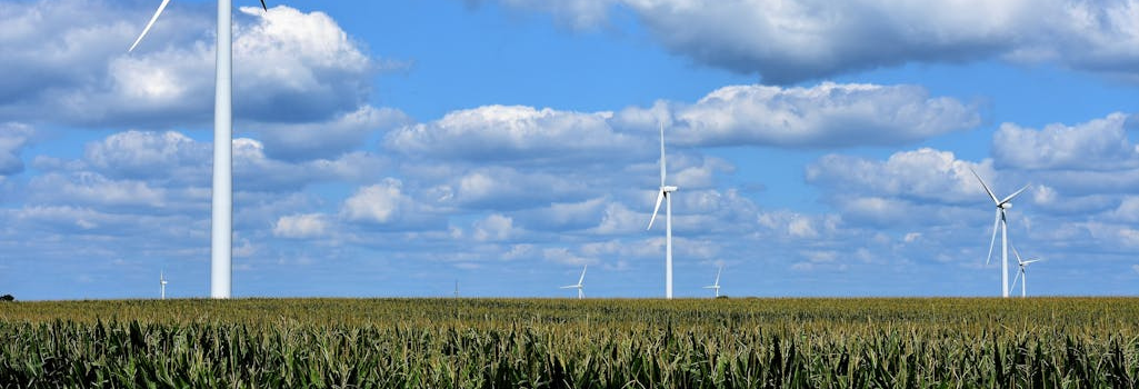 Image of white wind turbines in a rural corn field on a cloudy day.